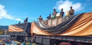 24 toneladas de maconha são apreendidas em Rancho Queimado