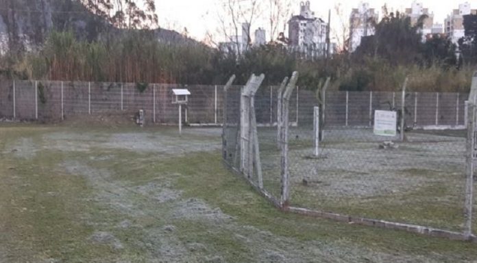 Gramado da estação da epagri esbranquiçado por cristais de gelo, por conta do frio e temperaturas baixas em Florianópolis. A capital teve o frio mais intenso deste inverno edos últimos 21 anos.