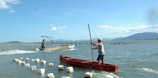 pescador rema em pé em canoa ao lado de boias alinhadas no mar nas áreas de cultivo de moluscos são interditadas em Florianópolis