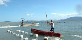 pescador rema em pé em canoa ao lado de boias alinhadas no mar nas áreas de cultivo de moluscos são interditadas em Florianópolis