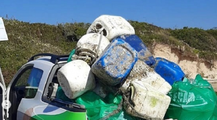Mutirão recolhe mais de 100 quilos de lixo na orla de Palhoça - caminhonete estacionada em praia com caçamba repleta de sacos de lixo empilhados após mutirão