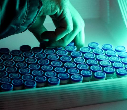 Mais de 4 mil doses de vacina contra Covid foram jogadas fora em SC doses de vacinas contra coronavírus - pessoas usando luva mexe nas ampolas - novo lote chega em sc