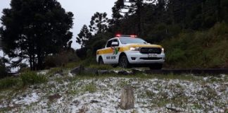 Um chão de grama aparece coberto com neve, ao fundo árvores e um carro da PMSC estacionado, a polícia do estado realiza a operação inverno para auxiliar turistas na serra catrinense