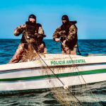 policias ambientais usando balaclava sobre barco retiram da água rede de pesca