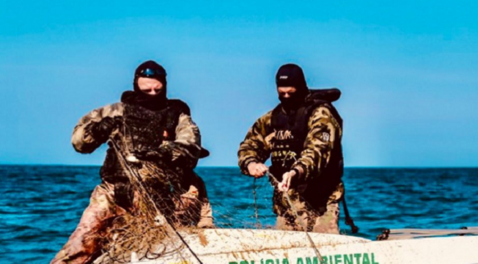 policias ambientais usando balaclava sobre barco retiram da água rede de pesca