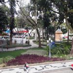 Praça XV em destaque com grandes árvores e calçadas; pessoas e taxi em primeiro plano - o local deve receber a Feira de Franklin Cascaes, evento cultural em Florianópolis