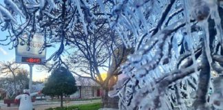 Previsão de neve em Santa Catarina entre quarta e quinta-feira - galhos congelados na praça de são joaquim com termômetro marcando -6º