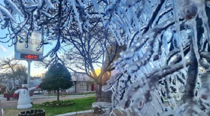 Previsão de neve em Santa Catarina entre quarta e quinta-feira - galhos congelados na praça de são joaquim com termômetro marcando -6º