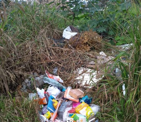 Moradores reclamam de lixo e falta de limpeza em terreno baldio