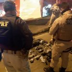 polícia recupera parte de armas furtadas de loja