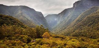 Finalizada concessão dos parques nacionais de Aparados da Serra e Serra Geral