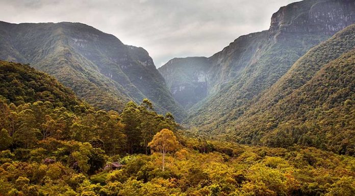 Finalizada concessão dos parques nacionais de Aparados da Serra e Serra Geral