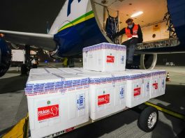199 mil doses da vacina contra coronavírus são distribuídas nesta terça doses da vacina contra coronavírus são distribuídas em caixas de isopor saindo de avião