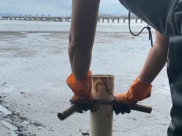 homem retirada lodo da enseada de joão paulo de área grande de lama com trapiche ao fundo