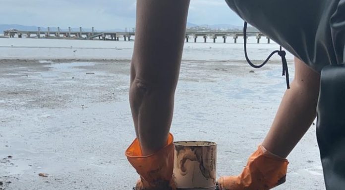 homem retirada lodo da enseada de joão paulo de área grande de lama com trapiche ao fundo