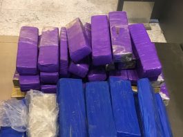 Duas “mulas” que tentavam transportar 42kg de maconha são presas no aeroporto de Florianópolis pacotes com a droga embalada - Duas "mulas" que tentavam transportar 42kg de maconha são presas no aeroporto de Florianópolis