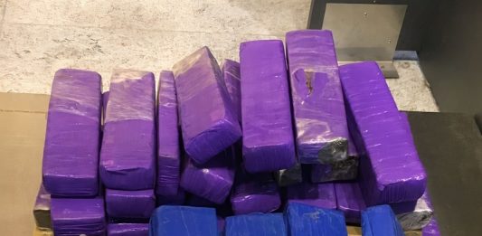 pacotes com a droga embalada - Duas "mulas" que tentavam transportar 42kg de maconha são presas no aeroporto de Florianópolis