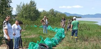 Voluntários recolhem cerca de 500kg de lixo em localidades de Palhoça