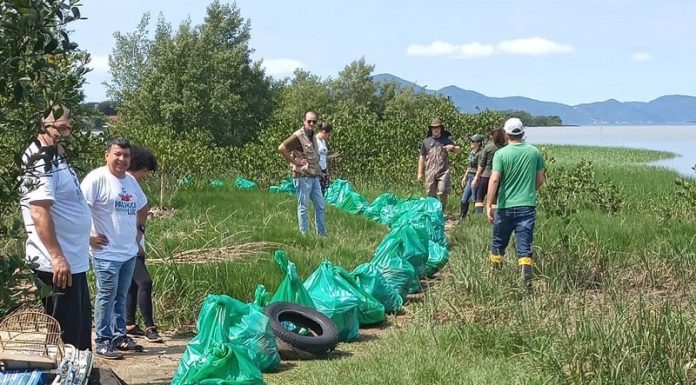 Voluntários recolhem cerca de 500kg de lixo em localidades de Palhoça