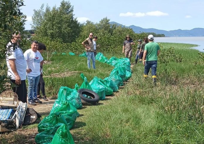 Voluntários recolhem cerca de 500kg de lixo em localidades de Palhoça