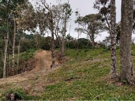 área rural em parte desmatada com estrada de terra no meio - Alesc começa a debater alterações no código ambiental