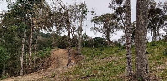 Alesc começa a debater alterações no código ambiental área rural em parte desmatada com estrada de terra no meio - Alesc começa a debater alterações no código ambiental