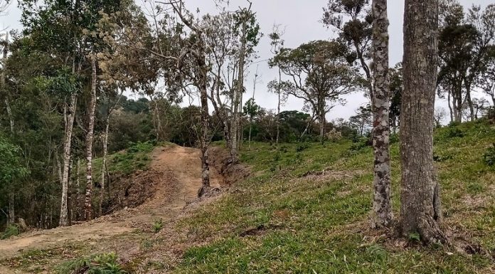 área rural em parte desmatada com estrada de terra no meio - Alesc começa a debater alterações no código ambiental