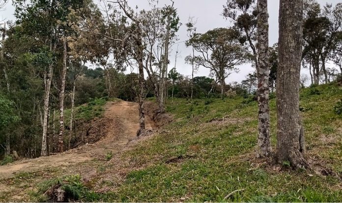 área rural em parte desmatada com estrada de terra no meio - Alesc começa a debater alterações no código ambiental