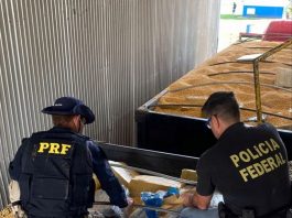 dois policiais em cima de bi-trem carregado de soja e pacotes de maconha