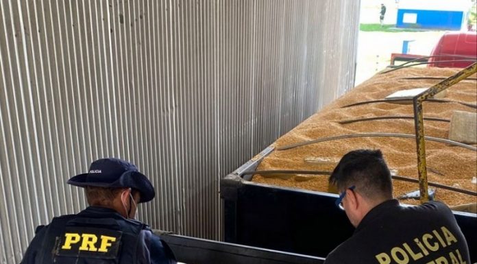 dois policiais em cima de bi-trem carregado de soja e pacotes de maconha
