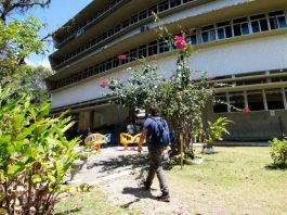 aluno anda por gramado com flores em volta e em frente a um prédio - calendário de retorno das aulas presenciais na udesc, ufsc e ifsc