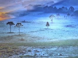 Serra catarinense amanhece com temperaturas negativas