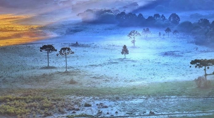 Serra catarinense amanhece com temperaturas negativas