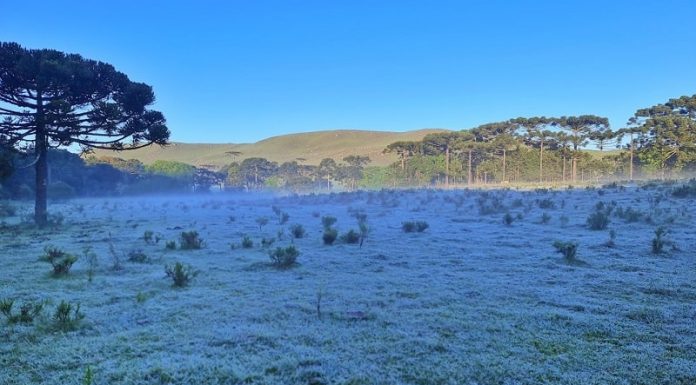 Serra catarinense amanhece com temperaturas negativas