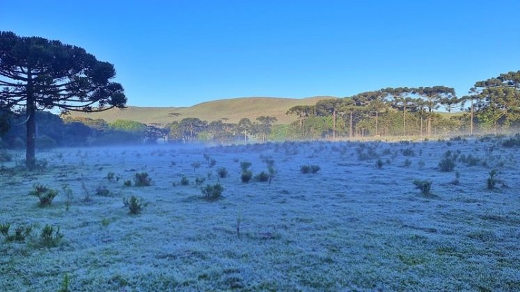 Serra catarinense amanhece com temperaturas negativas