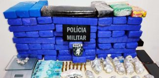 34kg de maconha apreendidos no centro de palhoça - pacotes empilhados e organizados pela polícia