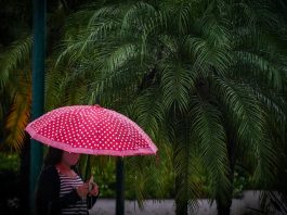 mulher andando de máscara e guarda-chuva - alerta de chuva persistente previsão do tempo