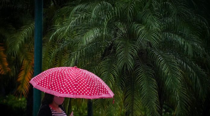 mulher andando de máscara e guarda-chuva - alerta de chuva persistente previsão do tempo