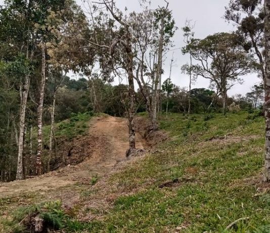Segurança jurídica X senso ecológico: começa a revisão do código ambiental de SC Segurança jurídica X senso ecológico: começa a revisão do código ambiental de SC