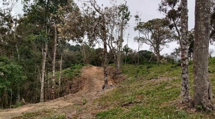 Segurança jurídica X senso ecológico: começa a revisão do código ambiental de SC