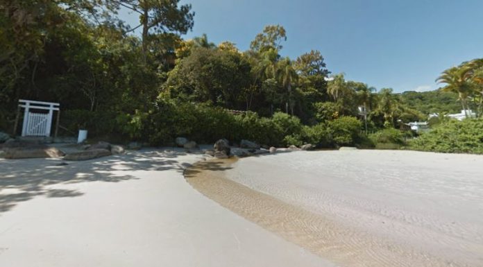 Rio das Ostras, que deságua na Praia de Jurerê, em Florianópolis, está contaminado por esgoto