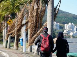 Defesa Civil alerta para ventos de até 120 km/h casal de jovens anda na orla de cacupé com muito vento no mar e nas palmeiras na orla, em florianópolis