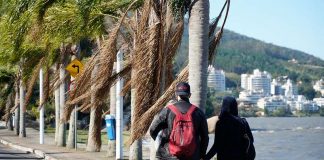 casal de jovens anda na orla de cacupé com muito vento no mar e nas palmeiras na orla, em florianópolis