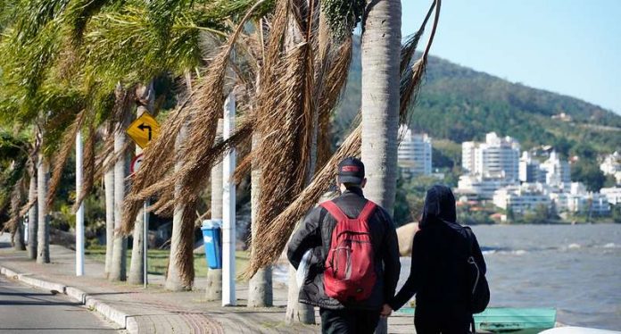 casal de jovens anda na orla de cacupé com muito vento no mar e nas palmeiras na orla, em florianópolis