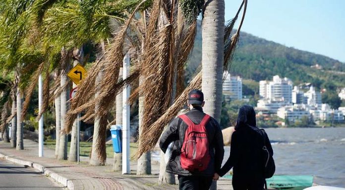 casal de jovens anda na orla de cacupé com muito vento no mar e nas palmeiras na orla, em florianópolis