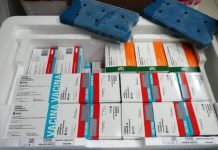 Vacinação em SC: Estado distribui nesta segunda mais de 390 mil doses da vacina contra a Covid-19
