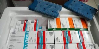 Vacinação em SC: Estado distribui nesta segunda mais de 390 mil doses da vacina contra a Covid-19