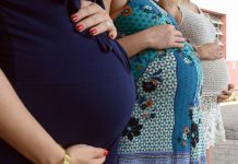 gravidez benefício auxílio gravidez múltipla gestantes grávidas santa catarina