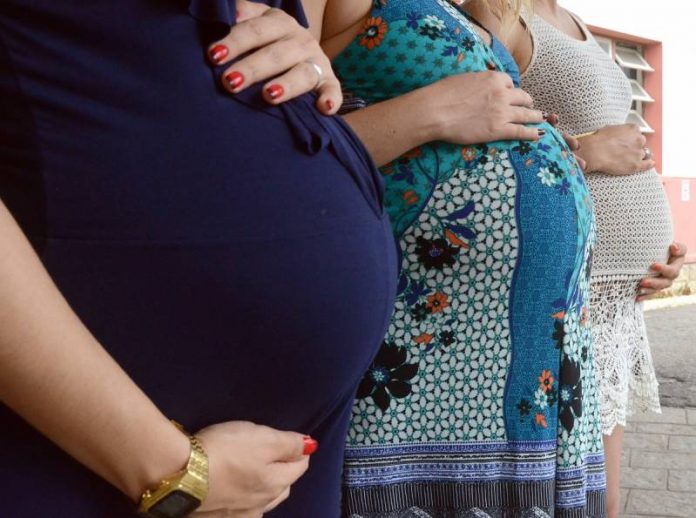 gravidez benefício auxílio gravidez múltipla gestantes grávidas santa catarina