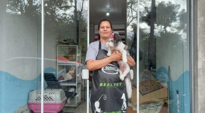 Juro Zero bate recorde em agosto com mais de R$ 7,5 milhões em crédito Juro Zero bate recorde em agosto com mais de R$ 7,5 milhões em crédito